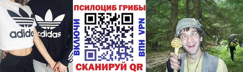 Галлюциногенные грибы ЛСД Феодосия